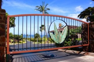 View through a gate of a coastal road with palm trees and ocean.