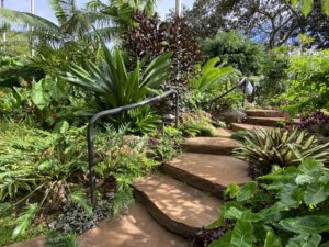 Stone steps winding through a lush tropical garden with diverse plants.