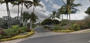 A scenic road lined with palm trees under a cloudy sky.