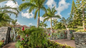 Palm trees and lush greenery under a bright blue sky.