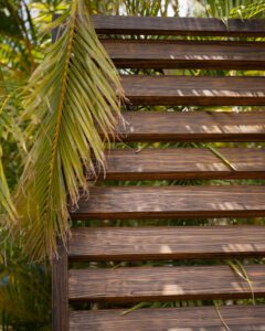 Palm leaf casting shadow on wooden slats in sunlight.