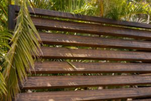 Wooden bench slats with green palm leaves in the background.