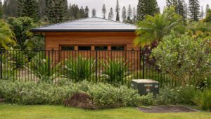 Modern house with a metal roof and lush greenery in front.