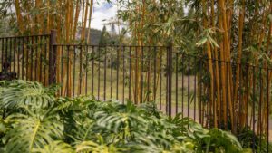 Rustic metal fence surrounded by lush greenery and bamboo plants.