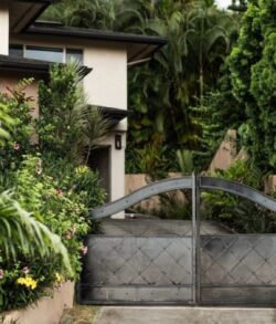 Modern house with lush greenery and a metal gate.