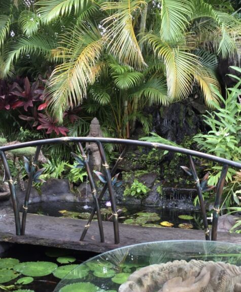 A small wooden bridge over a pond surrounded by lush tropical plants.