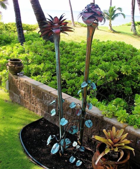 Two tall plants with green and purple leaves in a garden bed.