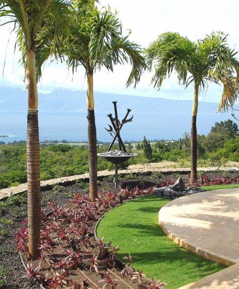 A scenic garden pathway lined with palm trees overlooking a distant landscape.