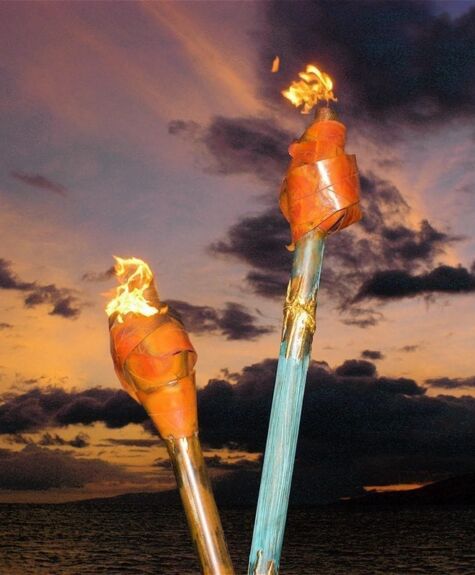 Two birds perched on sticks at sunset by the water.
