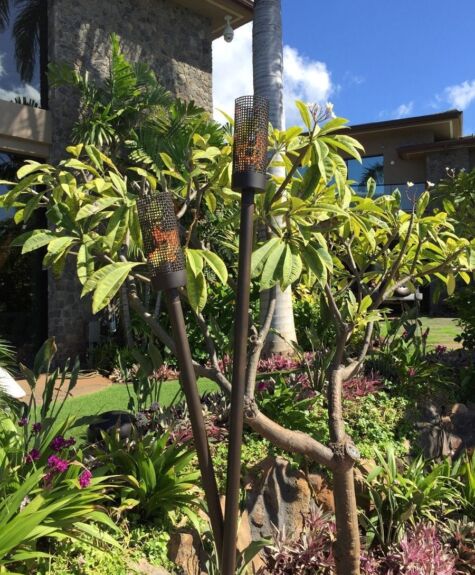 Tiki torches standing in a lush garden with green plants and blue sky.