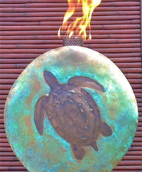 A flaming circular object with a turtle silhouette on it.