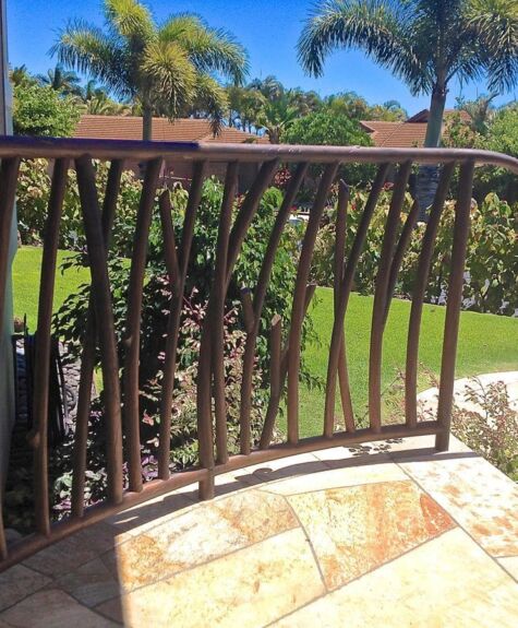 Curved metal railing overlooking a sunny garden with palm trees.