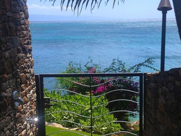 Scenic ocean view framed by palm tree and garden.