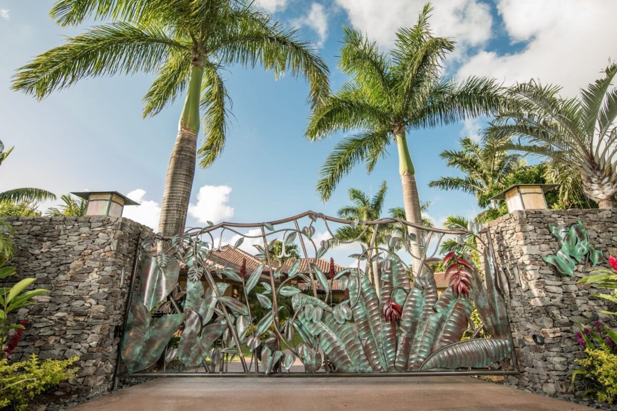 Tall palm trees and large cacti in a sunny outdoor setting.