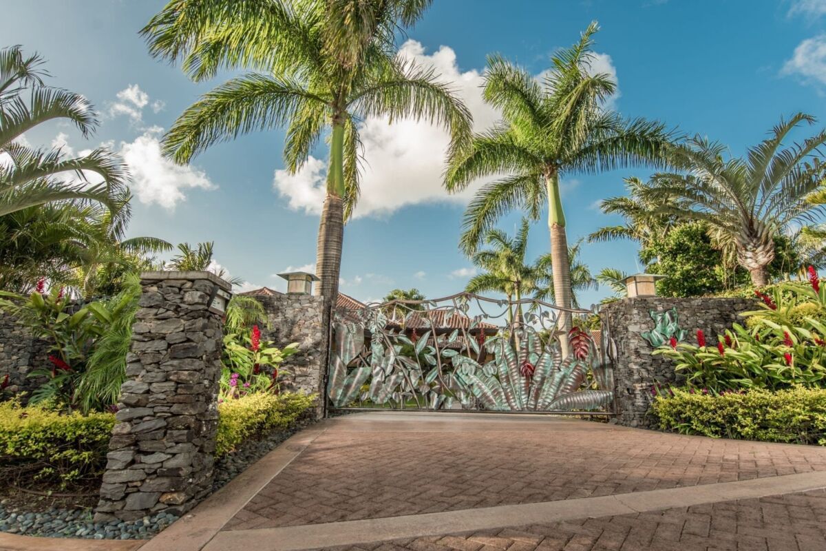 Tropical entrance with palm trees and decorative stone gate under a bright sky.