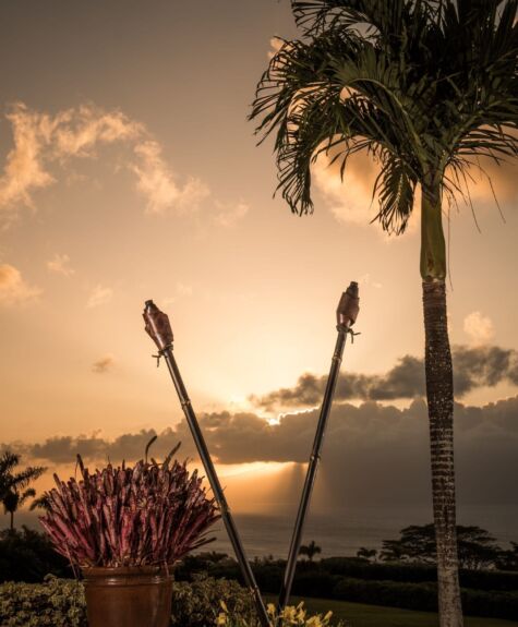 Silhouetted spears and palm tree against a warm sunset sky.