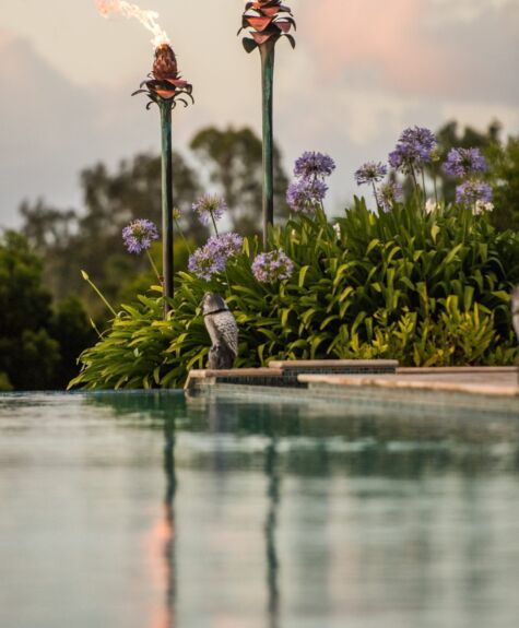 A heron stands near a pool surrounded by greenery and purple flowers.