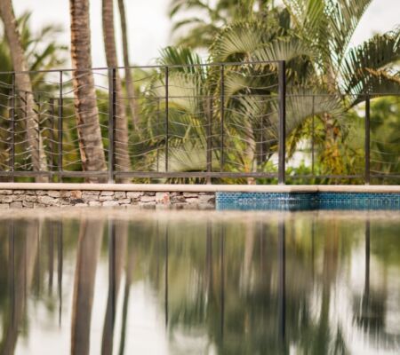A calm pool reflecting palm trees on a sunny day.