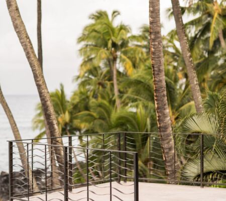 Tropical balcony view with palm trees and ocean.