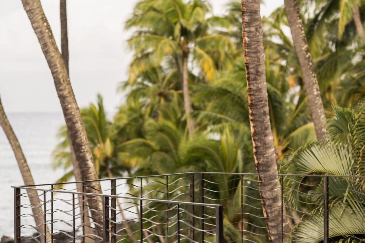 Tropical balcony view with palm trees and ocean.