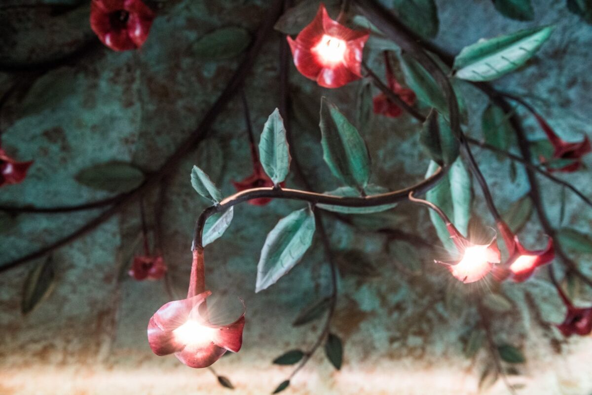 Glowing red flowers on delicate branches in a soft, dreamy setting.