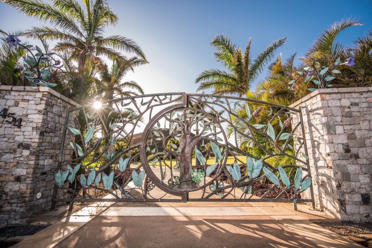 Ornate metal gate with a tropical pool and palm trees behind it.