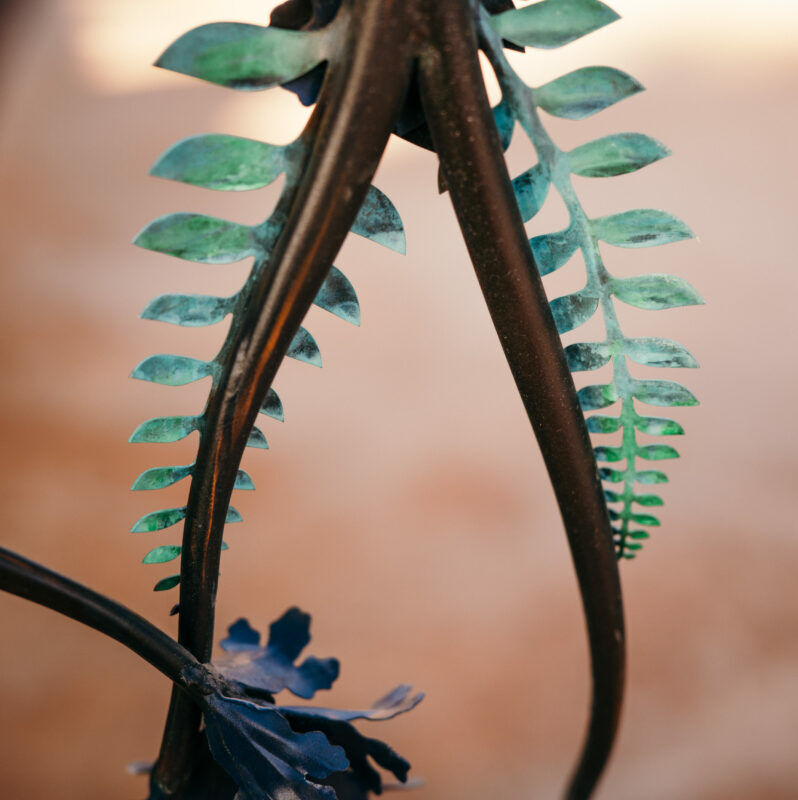 Close-up of a plant with symmetrical, spiky leaves in soft light.