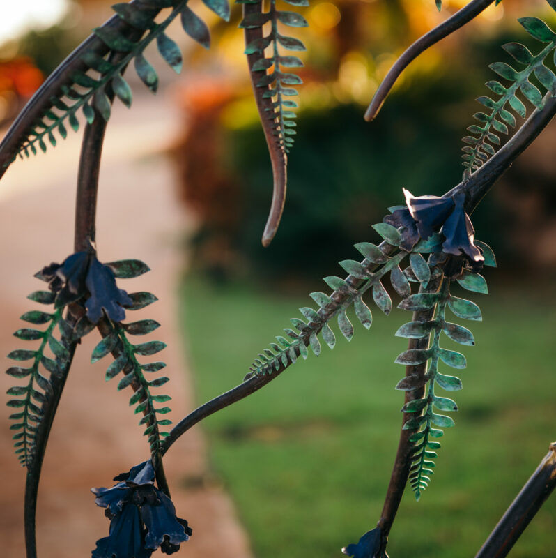 Close-up of a spiky, textured plant with a blurred natural background.