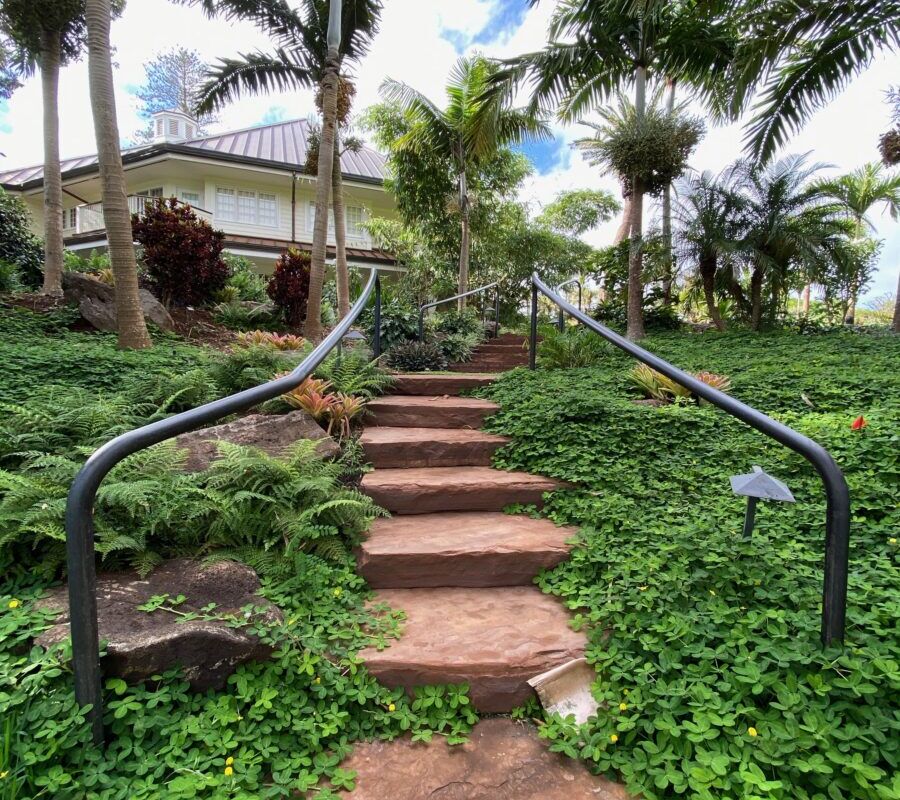Stone steps with metal railings leading up surrounded by lush greenery and palm trees.
