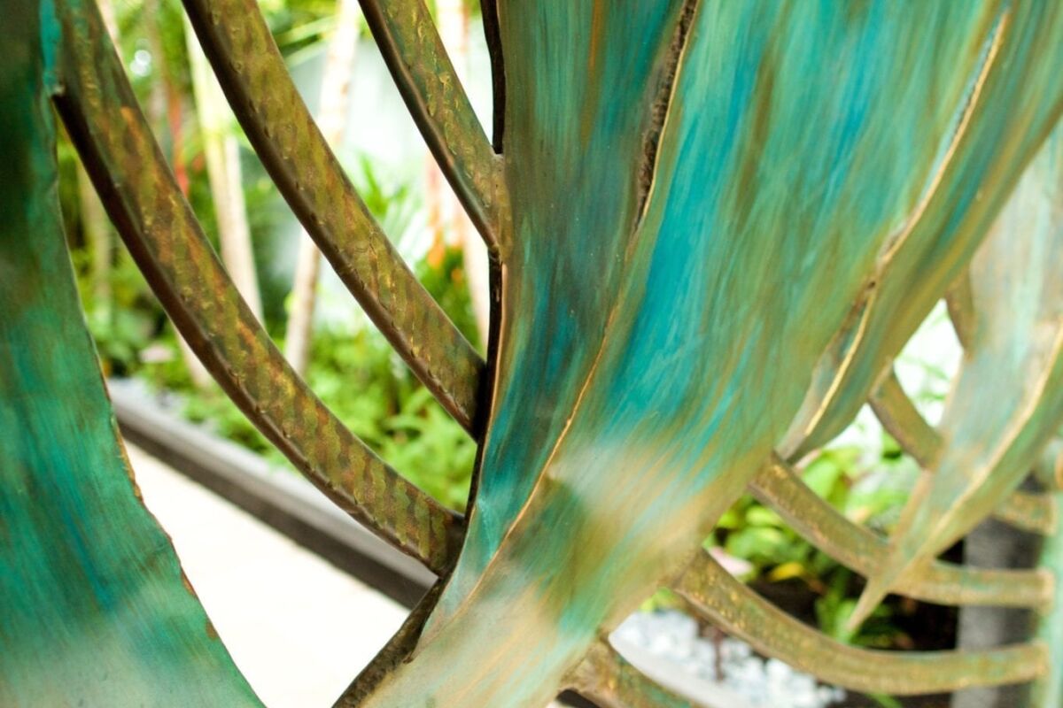 Close-up of a greenish-blue curved structure with a wooden background.