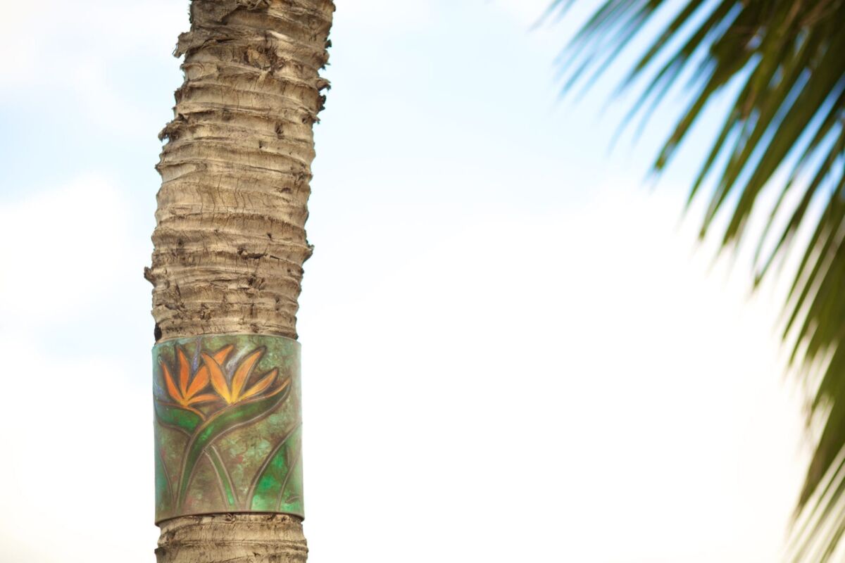 A close-up of a palm tree trunk with a decorative pattern wrapped around it.