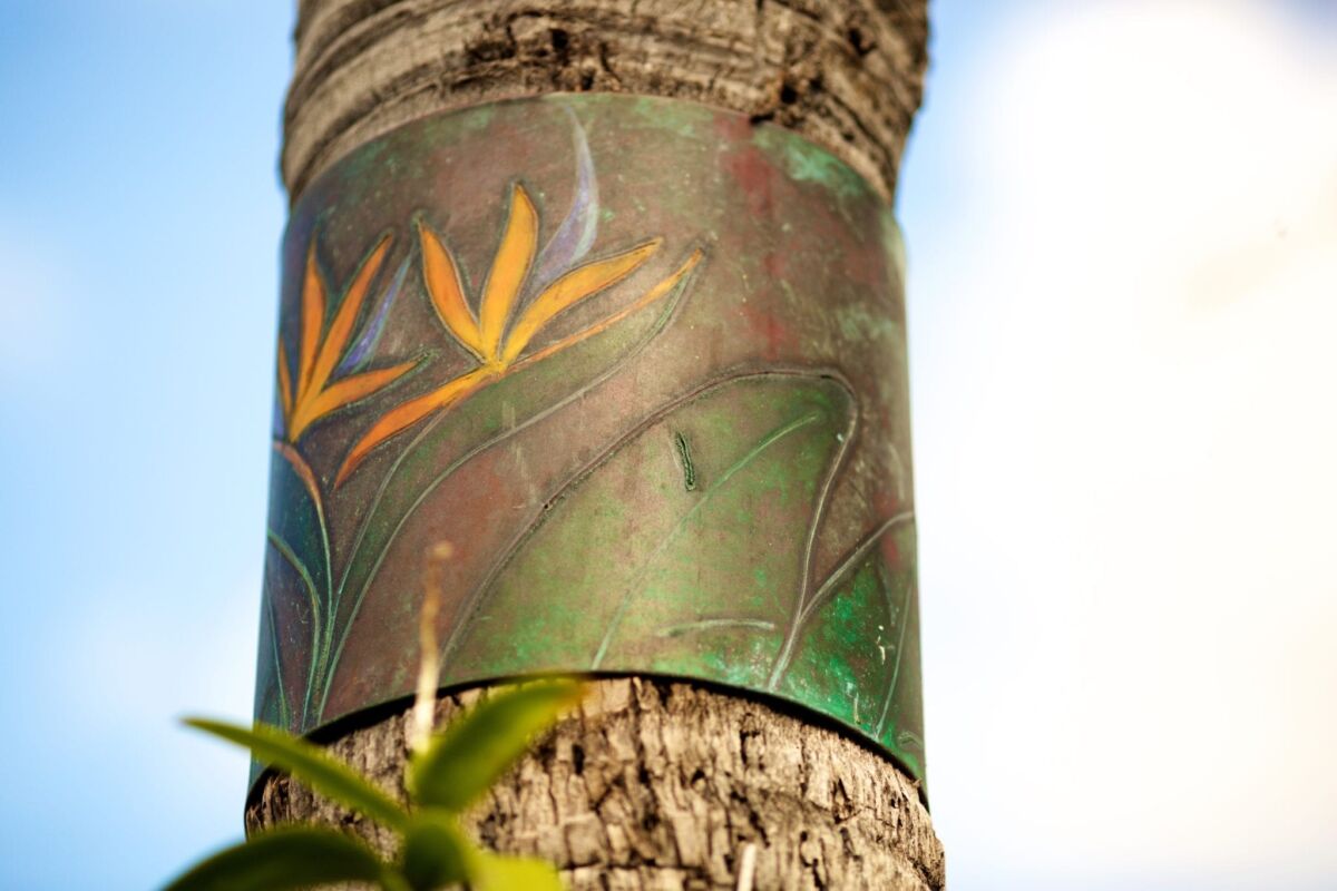 A colorful tattoo of a bird of paradise flower on a tree bark.