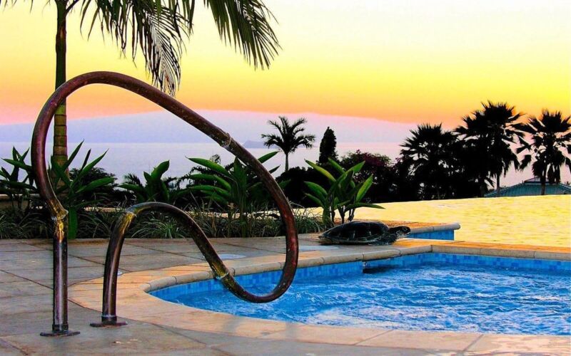 Sunset view over a calm pool with palm trees and clear sky.