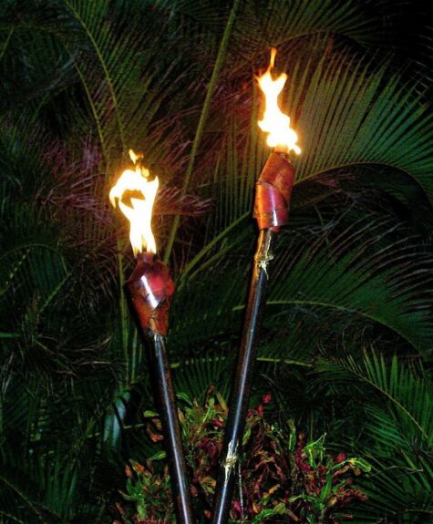 Two bamboo torches burning brightly at night in a tropical setting.