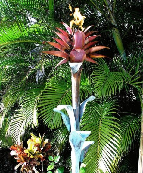 A tall tropical flower with reddish-pink petals and lush green leaves.