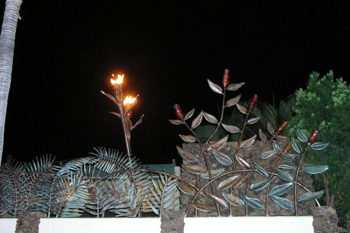 A night view of a white wall decorated with potted plants and a small light.