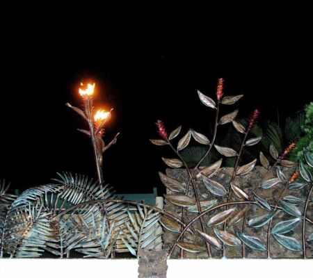 Plants illuminated by firelight in the dark night.