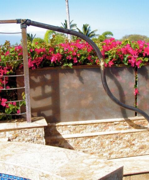 Sunlit garden wall adorned with vibrant pink flowers and a coiled hose.