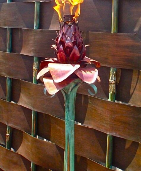 Close-up of a unique flower with dark red petals and white edges against a wooden fence.