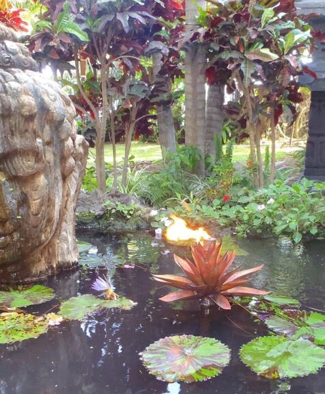 Serene garden pond with Buddha statue and lily pads.