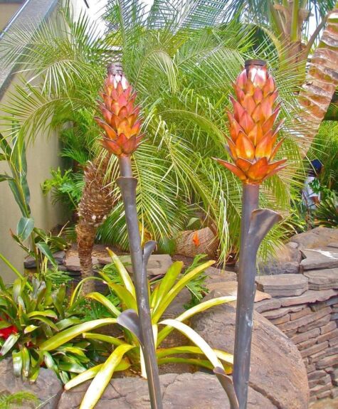 Two orange torch ginger flowers in a tropical garden setting.