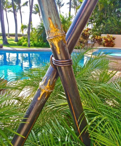 Close-up of a bamboo pole tied with rope near a pool and palm trees.