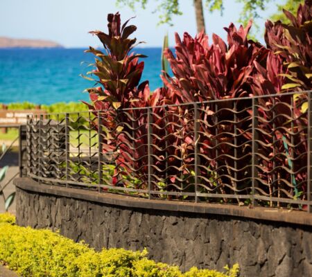 Colorful red plants beside a stone wall with ocean in the background.