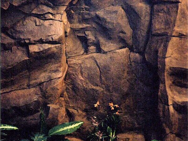 A rocky cave entrance surrounded by greenery.