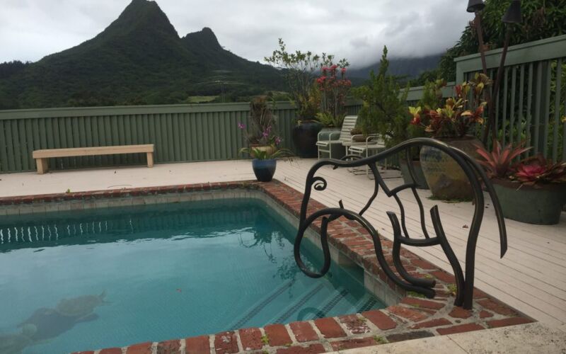 A serene backyard pool with mountain views and artistic metal railing.