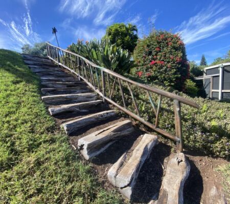 Wooden steps with a handrail leading uphill under a blue sky.