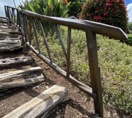 Wooden staircase with rustic railing amidst greenery.