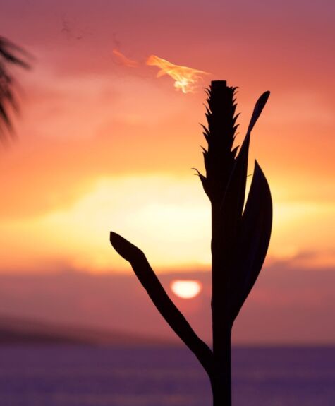 A torch burning against a vibrant sunset by the water.