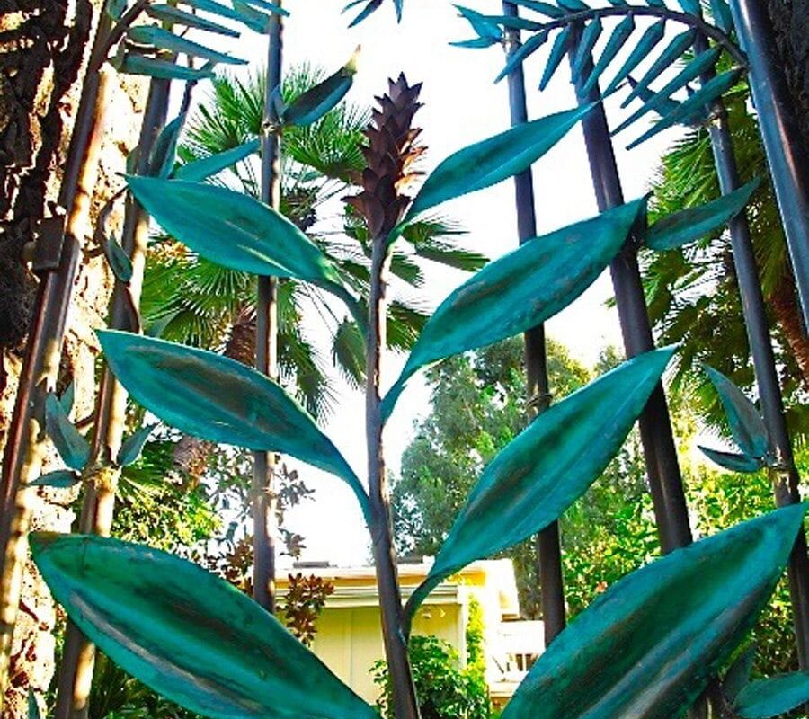 Tall green plants with elongated leaves reaching upwards under a blue sky.