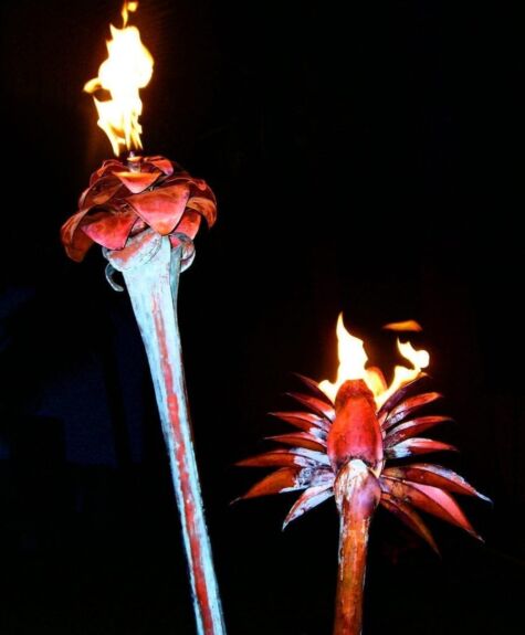 Two flaming torch flowers glowing in the dark.